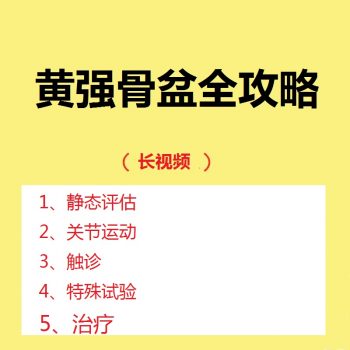 黄强骨盆评估触诊治疗全攻略网课中医视频教程360分钟-百度网盘下载-中医教程博客