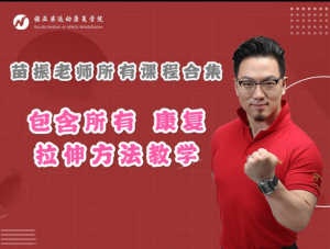 苗振诺亚第拉伸疗法医师专修班全集视频教程-百度网盘下载-中医教程博客