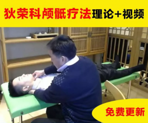 狄荣科温谱成颅骶疗法理论实操调整颅骨技术视频教程-百度网盘下载-中医教程博客