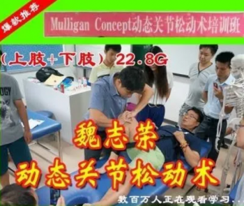 魏志荣动态关节松动术上肢下肢学习班视频教程-百度网盘下载-中医教程博客