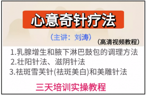 刘涛心意奇针疗法针灸培训实操高清视频教程-百度网盘下载-中医教程博客