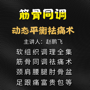 赵鹏飞筋骨同调动态平衡祛痛术视频教程-百度网盘下载-中医教程博客