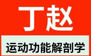 丁赵-周围神经与运动功能解剖学中医视频教程(301课程）-百度网盘下载-中医教程博客