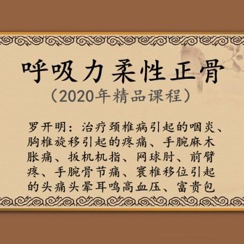 罗开民呼吸力柔性正骨颈胸腰椎骶髂关节中医正骨高清视频教程-百度网盘下载-中医教程博客