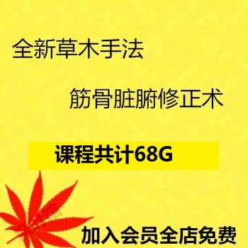 中医基础理论草木手法筋骨脏腑修正术视频教程-百度网盘下载-中医教程博客