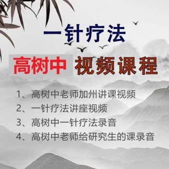 高树中一针疗法视频教程常见病的一针疗法合集-百度网盘下载-中医教程博客