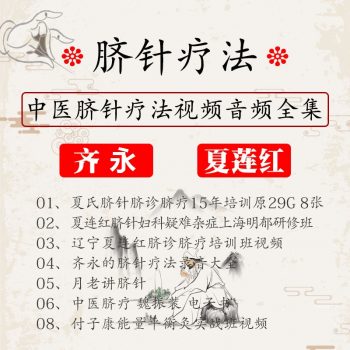 齐永夏连红脐针疗法课程全套中医针灸视频教程-百度网盘下载-中医教程博客