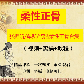 张振听牟新何浩柔性正骨视频教程合集-百度网盘下载-中医教程博客