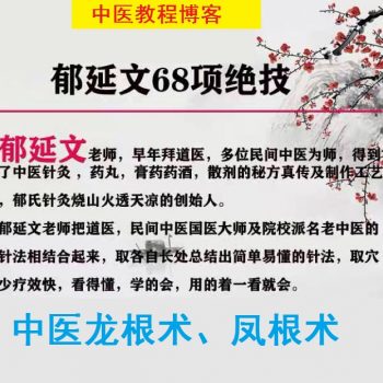 郁延文68项绝技中医手法龙根术凤根术实操高清视频教程-百度网盘下载-中医教程博客