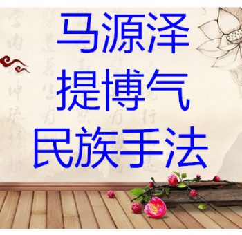 马源泽老师提博气实践班手法功法中医视频教程及讲义-百度网盘下载-中医教程博客