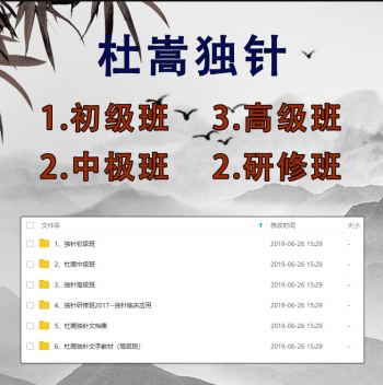 杜嵩独针初级班中级班高级班研修班视频教程合集-百度网盘下载-中医教程博客
