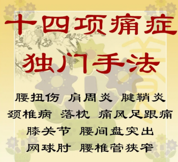十四项痛症独门手法高清视频蒙医拨毒俞痛资料中医视频教程-百度网盘下载-中医教程博客
