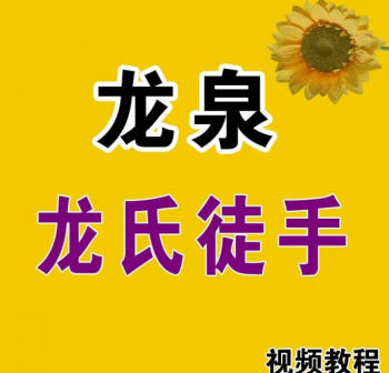龙泉龙氏徒手一指私密正骨整形缩阴徒手根雕全程视频教程-百度网盘下载-中医教程博客