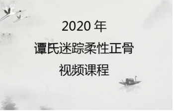 2020年谭氏迷踪柔性正骨视频课程实战干货-百度网盘下载-中医教程博客