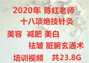 2020陈红十八项绝技针灸美容减肥美白祛皱脏腑玄通术培训视频教程-百度网盘下载-中医教程博客