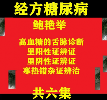 鲍艳举经方治疗糖尿病临床入门中医高清视频教程6集-百度网盘下载-中医教程博客