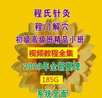 程氏针灸程门解穴精品小班培训全程视频教程-百度网盘下载-中医教程博客