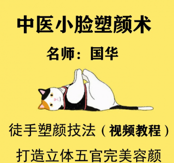 中医美颜宫廷古方徒手小脸塑颜术-女人按摩瘦脸国华养颜视频教程-百度网盘下载-中医教程博客