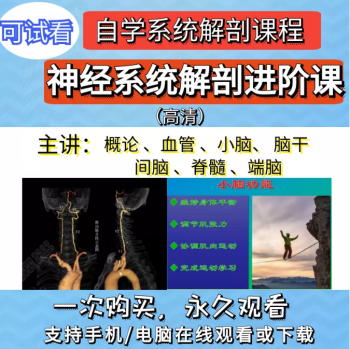 神经系统解剖进阶课高清视频教程血管颅脑脊髓神经解剖影像学-百度网盘下载-中医教程博客