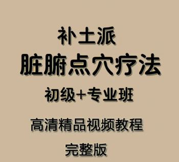 2020补土派脏腑点穴疗法脏腑推拿法机能调理初级班专业班中医视频教程-百度网盘下载-中医教程博客