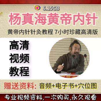 杨真海黄帝内针视频教程7小时珍藏高清版送音频和电子书-百度网盘下载-中医教程博客