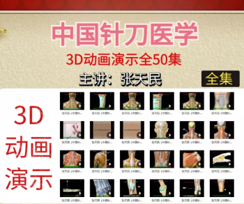 小针刀视频教程张天民中国针刀医学3D动画演示50集完整版-百度网盘下载-中医教程博客