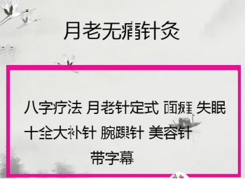 月老无痛针灸培训高清视频教程有字幕-百度网盘下载-中医教程博客