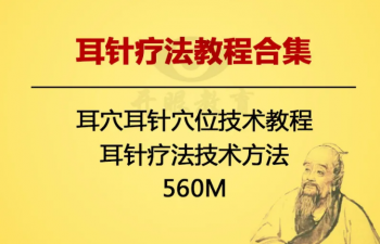 耳针疗法耳穴耳针穴位技术视频教程-百度网盘下载-中医教程博客