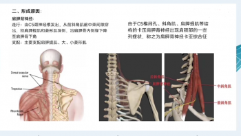 【中医精品课程】学会这6课，轻松解决六大综合征高清视频教程-百度网盘下载-中医教程博客