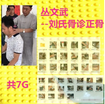 丛文武-刘鳌弟子刘氏骨疗摸骨知病骨诊正骨手法视频教程-百度网盘下载-中医教程博客