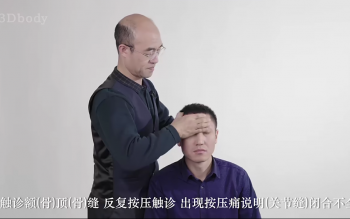 田惠林​《肌骨平衡疗法》配套中医高清视频教程-百度网盘下载-中医教程博客