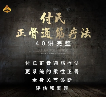 2020年付氏正骨通筋疗法诊断调理柔性手法中医高清视频教程-百度网盘下载-中医教程博客