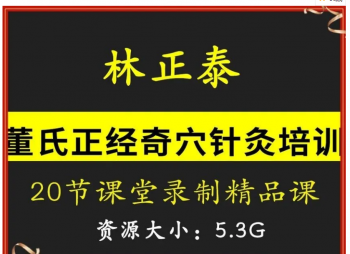 林正泰董氏奇穴针灸培训临床20集精品课视频教程-百度网盘下载-中医教程博客