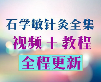 【石学敏针灸全集视频教程】天津中医药大学教实用醒脑开窍针刺手法视频-百度网盘下载-中医教程博客