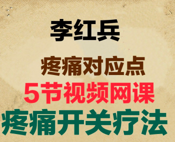 2020年李红兵疼痛对应点疼痛开关中医视频教程-百度网盘下载-中医教程博客