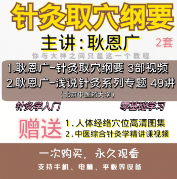 针灸学入门耿恩广针灸取穴纲要3集+浅说针灸49讲视频教程合集-百度网盘下载-中医教程博客