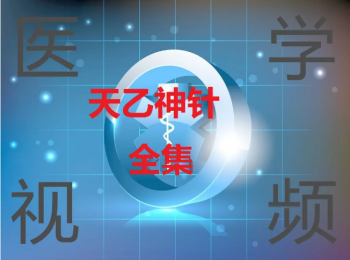 张伟杰天乙神针讲座精品课高清视频教程-百度网盘下载-中医教程博客