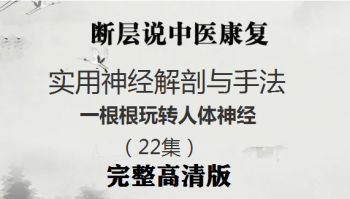 断层说中医康复-实用神经解剖与手法视频教程,一根根玩转人体神经(22集)-百度网盘下载-中医教程博客