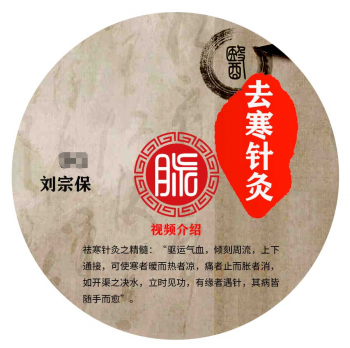 刘宗保刘氏去寒针灸疗法视频教程唯一能把寒气排除针灸法-百度网盘下载-中医教程博客