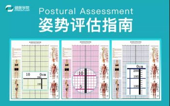 翟佳栋姿势评估指南全集高清视频教程18课-百度网盘下载-中医教程博客