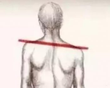【健康知识】我们为什么要用正骨手法调理骨骼?-中医教程博客
