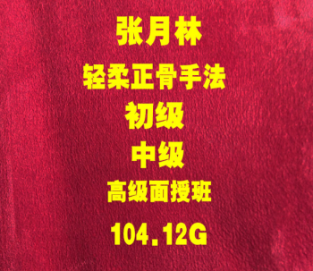 张月林轻柔正骨初中高级面授班正骨培训视频教程-百度网盘下载-中医教程博客