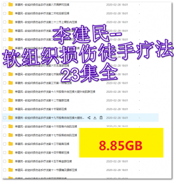 李建民华人一手软组织损伤徒手疗法视频教程颈肩腰腹背四肢关节-百度网盘下载-中医教程博客
