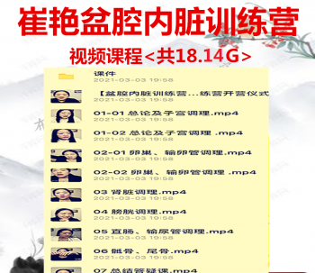 崔艳老师盆腔内脏训练营视频课程-百度网盘下载-中医教程博客