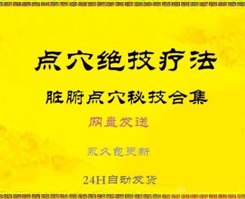 道医脏腑点穴秘技杨际平脏腑点穴技法李林点穴法中医视频教程-百度网盘下载-中医教程博客