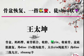 王太坤石家庄徒手私密骨盆产后教学培训含动作分解视频教程-百度网盘下载-中医教程博客