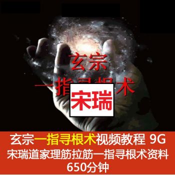 【宋瑞道家玄宗一指寻根术】视频教程650分钟加课件-百度网盘下载-中医教程博客