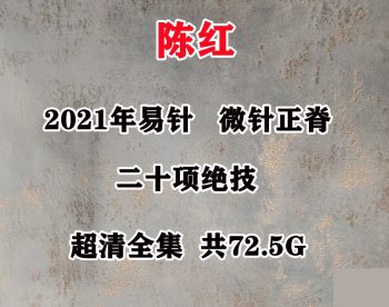 2021年陈红易针疗法微针正脊二十项绝技中医视频教程合集-百度网盘下载-中医教程博客
