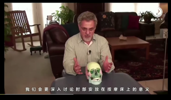 【零基础学颅骶课程】BCST3D高清颅骶疗法视频教程-百度网盘下载-中医教程博客