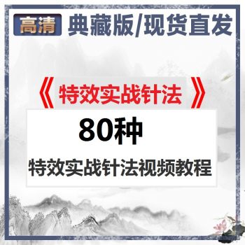 80种特效实战针法中医视频教程合集-百度网盘下载-中医教程博客